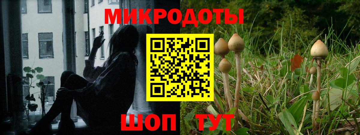 Галлюциногенные грибы Psilocybine cubensis Большой Камень