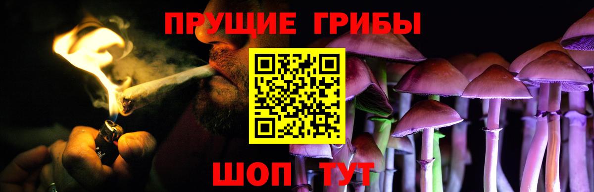 Псилоцибиновые грибы MAGIC MUSHROOMS  Галлюциногенные грибы ЛСД  Большой Камень  продажа наркотиков  Вход с VPN 